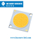 ÉPI Chip For Tracking Light Streetlight de 28x28mm 2700-6500K 120-140LM/W LED