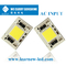 AC 200-240V COB puces LED DOB 4060 30W 50W Pour la lumière extérieure LED