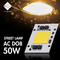 L'ÉPI 30-50W 3000K 6000K à C.A. d'AC200-240V LED pour l'élevage extérieur s'allument