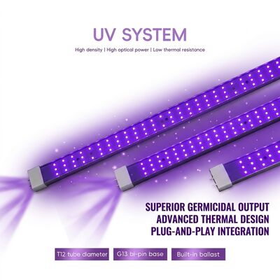 UVC Solutions 365nm 370W 100W 120W Lampes germicides UV fournisseurs Lampes excimères UVC à longue portée