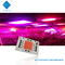 spectre 380-780nm d'ÉPI à C.A. LED de 50W AC200-240V 40x60mm plein avec des connecteurs plus rapides