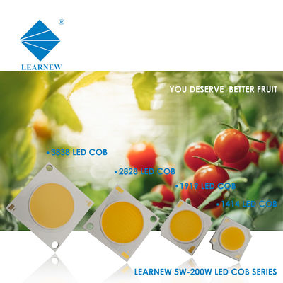 LED COB pour lampe murale et projecteur