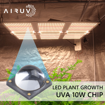 10W 365nm 385nm 395nm 6-7V Uva 3W a mené le traitement UV de Chips For