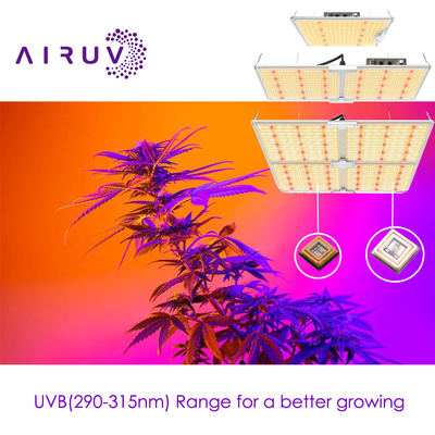10w 20w 100w UVA UVB UVCLED COB Haute efficacité 365nm 385nm 395nm