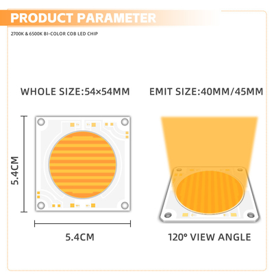 5454 Cob Chip Double température de couleur Dimmable pour les lumières de photographie et les lumières de scène