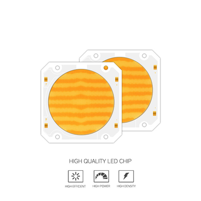 OEM ODM longueur d'onde BI Couleur 205V SMD LED puce Blanc chaud + blanc 6060 puces SMD LED émettant