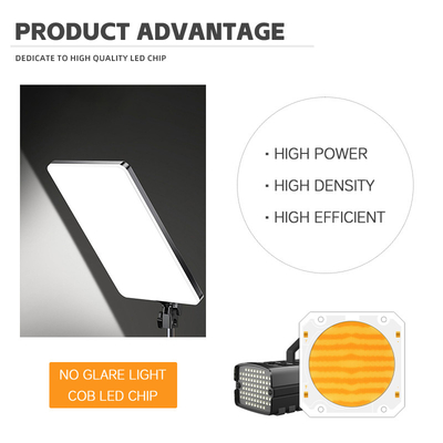 OEM ODM longueur d'onde BI Couleur 205V SMD LED puce Blanc chaud + blanc 6060 puces SMD LED émettant