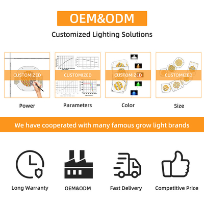Puissance élevée Bi Couleur 300W 6060 Flip Chip personnalisé Cob LED Chip Pour Commercial Led Light Lumière de scène