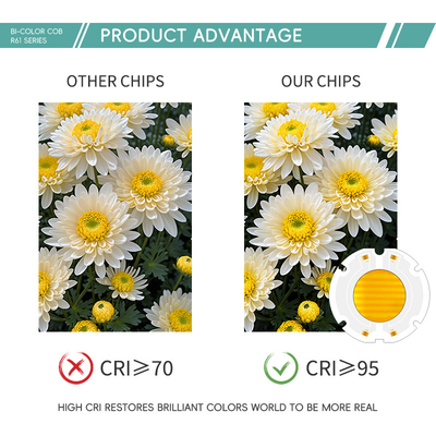 puissances élevées 200W 6060 LED cob chip bi couleur puce pour la lumière de la photographie