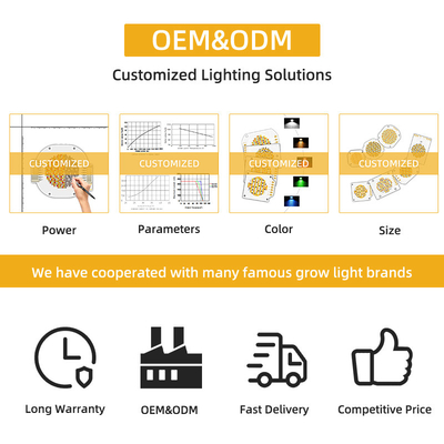 Prix d'usine NOUVEAU design Blanc réglable Bicolore 200W 200W 400W LED COB CHIP 2700K 4000K 6500K Lumières intérieures Lumières photographiques