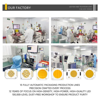 Dans le stock 4055 Cob LED Chip Cct double chaud blanc froid blanc Dimmable 300w Cob Led Chip Cri95 2700k + 6500k
