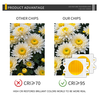 Dual CCT 2700K+6500k Bicolore Blanc chaud + froid CRI 70 80 90 95 Puissance élevée 100W 200W 300W COB Puce LED Bicolore