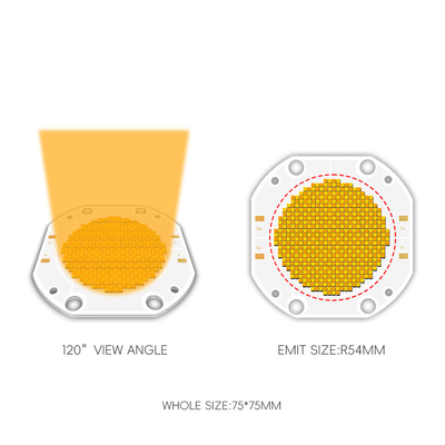 Bi couleur 2700K 6500K haute puissance CRI 95 600W COB module de puce LED carte de circuits imprimés pour la vidéo LED remplir la photographie lumière