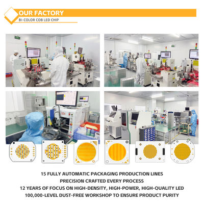 Matériau d'aluminium personnalisé puce COB 2424 en blanc bleu rouge et vert haute luminosité usine de Chine