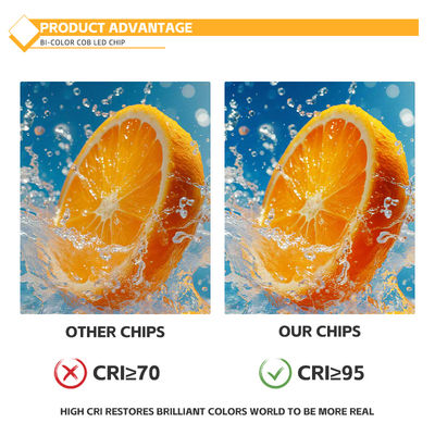 Matériau d'aluminium personnalisé puce COB 2424 en blanc bleu rouge et vert haute luminosité usine de Chine