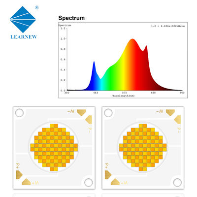 Puce LED COB à haute densité 3838 200W CRI97 2700-6500K