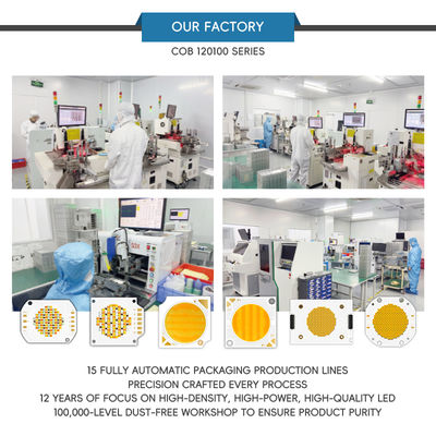 Puce LED COB Bi-Calor Professionnelle 1200W+1200W 70-100lm/w 120*100mm avec Garantie de 2 ans pour Lumière de Photographie