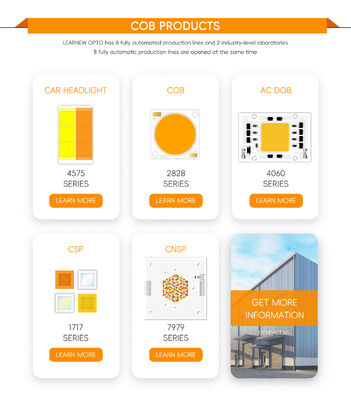30W+30W BICOLOR 1919 COB LED CHIP DOWNLIGHTS LUMIERES intérieures SPOTLIGHTS 36-38V DIMMABLE CCT Deux couleurs 2700 à 6500K