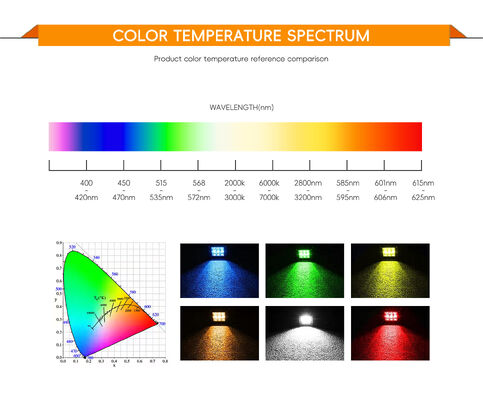 Lampe de studio COB LED bicolore haute luminosité 150W+150W, température de couleur réglable 2700K 6500K blanc chaud Ra95