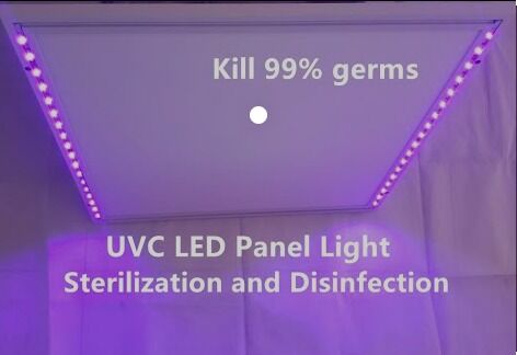 1W 225nm UVC Pick up 233.8nm LED Puissance optique 2-3mW 6-8V 150mA SMD 3.8mm LED UV-C Diode Lentille dôme 60°