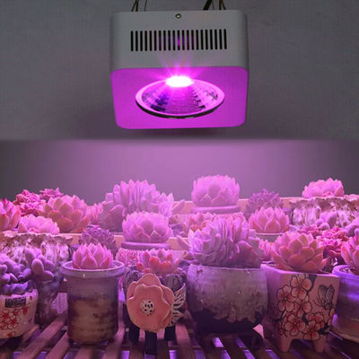 200W Full Spectrum COB LED Grow Light Aluminium à longueur d'onde multiple