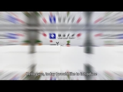 Série de puces LED COB à double couleur