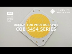 5454 Puce à température double couleur