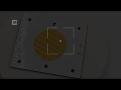 120100 Puce COB bicolore