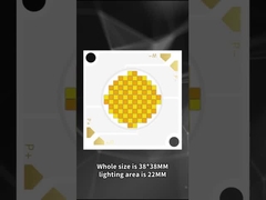 3838 LED COB à double couleur